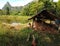 Bamboo hut and country side