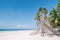 Bamboo hut with fresh green palm trees around standing at the white sand beach.