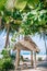 Bamboo hut with fresh green palm trees around standing at the white sand beach. Spa concept.