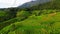 Bamboo hut homestay farm with Green rice paddy fields in Northern Thailand Chiang Mai region