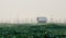 Bamboo hut on Taunggyi floating vegetable gardens of Inle lake, Myanmar