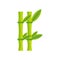 Bamboo icon, flat style