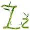 Bamboo letter Z