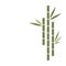 Bamboo logo template design or icon for website. Chinese or eastern background or layout with bamboo illustration. Flat