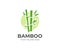 Bamboo logo template. Green bamboo trees vector design