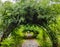 Bamboo made natural corridor in a park in Tripura