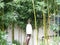 Bamboo in my home