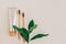 Bamboo natural toothbrushes, toothpaste and fresh leaves on pale background. Zero waste and plastic free concept