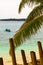 Bamboo and palm tree leaves and boat on blue sea, Philippines Bo