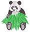 Bamboo panda