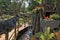 Bamboo path between the fountain and flower beds