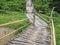 Bamboo pathway in the middle of paddy fields, bamboo walkway and footbridge