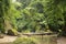 Bamboo pedestrian suspension bridge over river in tropical fores