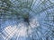 Bamboo pergola with creeper against blue sky