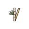 Bamboo plant filled outline icon