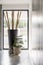 Bamboo poles in big vase