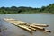 Bamboo raft