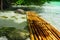 Bamboo raft