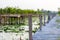 Bamboo raft made into a bridge over the canal