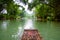 The Bamboo raft on the river