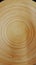 Bamboo Ring Pattern Plate Glazed