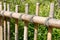 Bamboo rustic fence