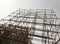 Bamboo scaffolding