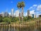 Bamboo sculpture in park environment with Sydney skyline