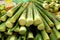 Bamboo shoot