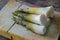 Bamboo shoots