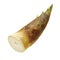 Bamboo shoots is a traditional chinese health food