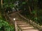 Bamboo Staircase