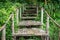 Bamboo staircase