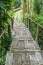 Bamboo staircase