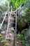 Bamboo stairs