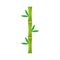 Bamboo stem natural icon