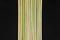Bamboo sticks placed next to each other on black background surface