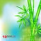 Bamboo Summer background