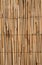 Bamboo texture background