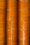 Bamboo tile pattern