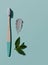 Bamboo toothbrush, organic toothpaste and peppermint on blue mint background