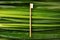 Bamboo toothbrush quickly becoming a staple in many households, not only because they`re naturally antimicrobial, but also b