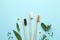 Bamboo toothbrushes, beautiful chamomile flowers, sea salt and herbs on turquoise background, flat lay