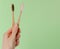 Bamboo toothbrushes in hand on green background. Copy space, dental care