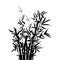 Bamboo tree japanese plant or tree. Traditional sumi painting vector illustration.