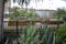 Bamboo trellis black garden fence