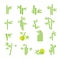 Bamboo vector symbol icons set