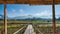 Bamboo walk path among red cana flower field