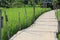 Bamboo walkway in rice green field  ancient pathway by  farmer design at countryside