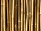 Bamboo wall